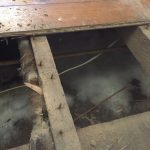 Wet Rot Treatment Cannock