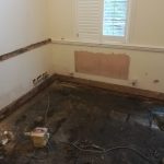 Dry Rot Solution for Shrewsbury