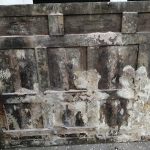 Stage 1 dry rot treatment Wolverhampton
