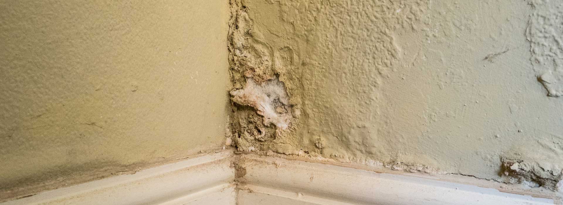 Rising damp damage visible on internal wall corner showing moisture damage and deteriorating plaster