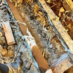 dry-rot-treatment-floor-replacement--willenhall