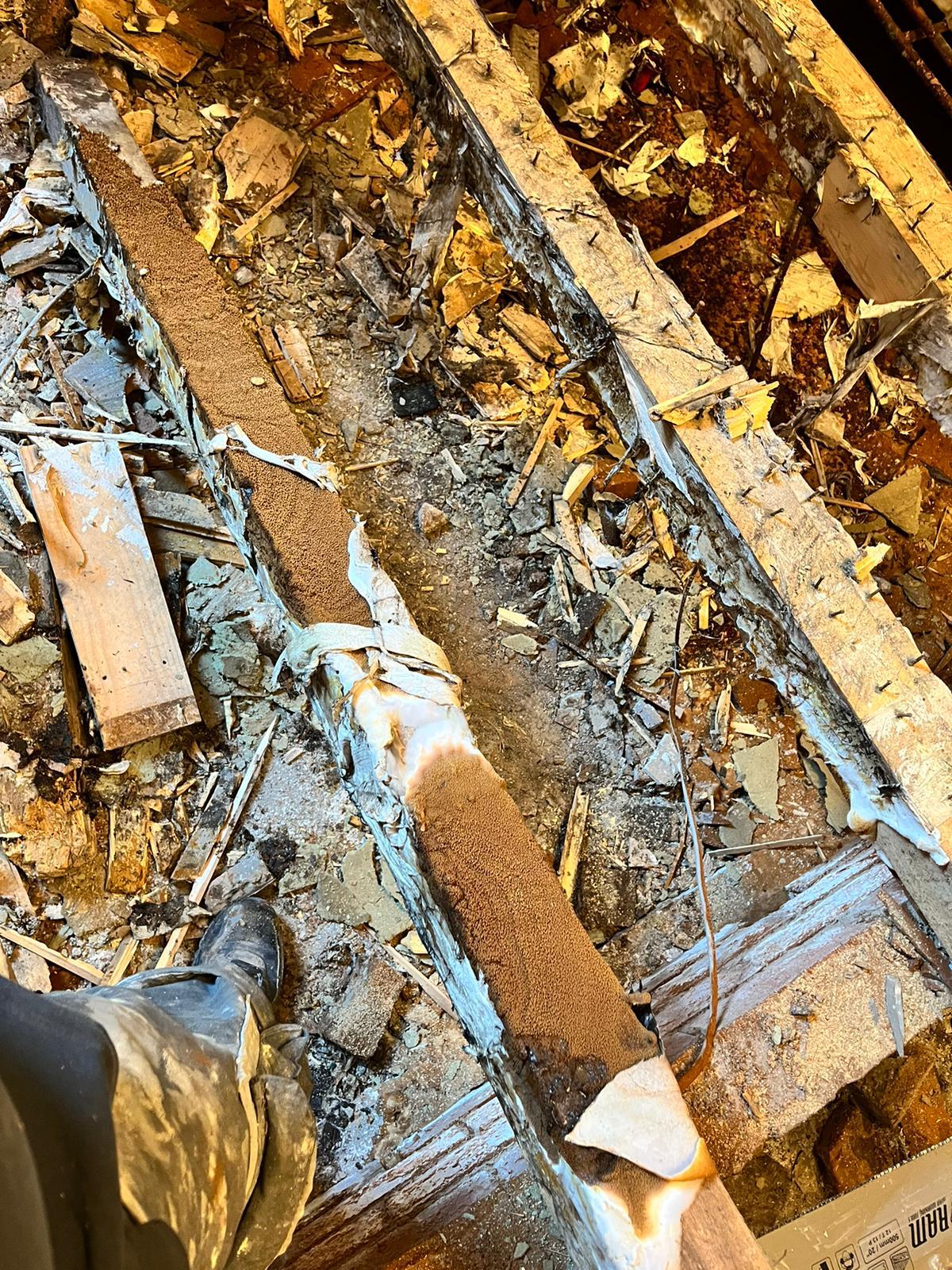 dry-rot-treatment-floor-replacement--willenhall