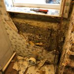 extensive-dry-rot-treatment-structural-remediation-3