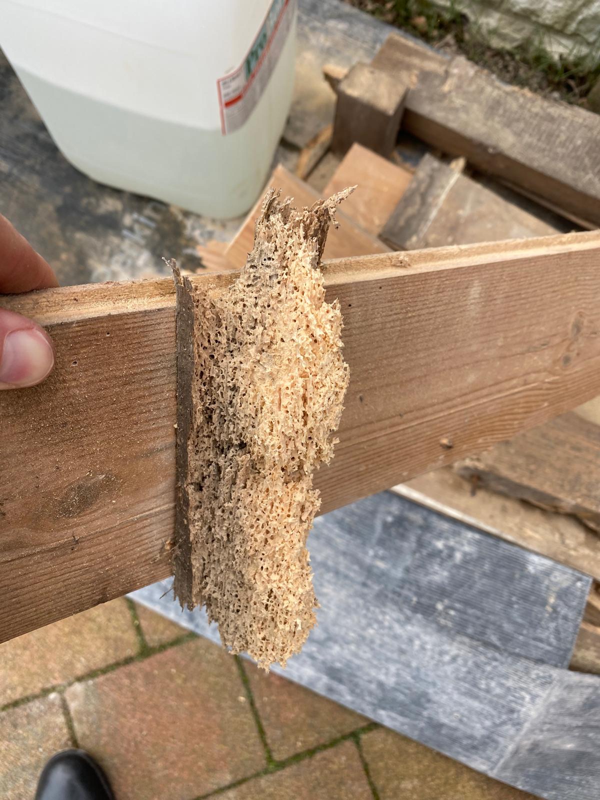 woodworm-treatment-to-loft-timbers--pershore